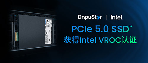 DapuStor PCIe 5.0 SSD系列获得Intel-VMD-VROC认证